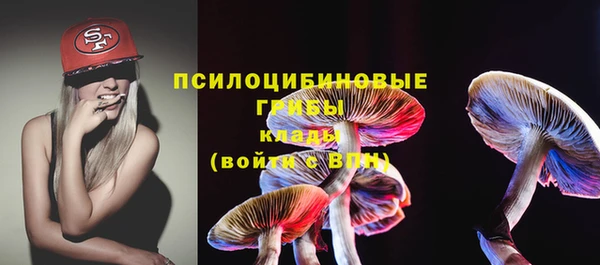 дмт Пересвет