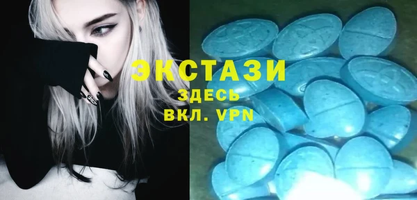дмт Пересвет