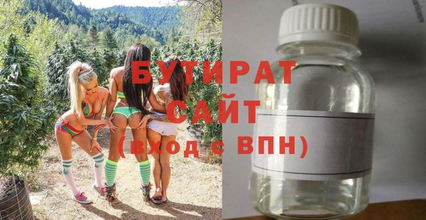 дмт Пересвет