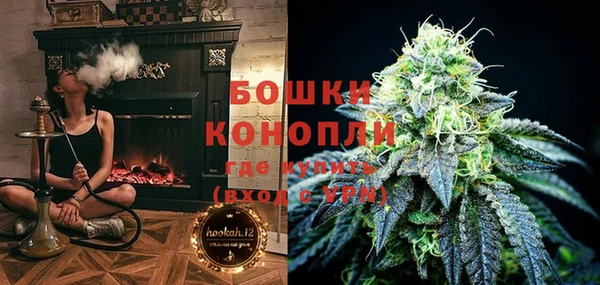 дмт Пересвет