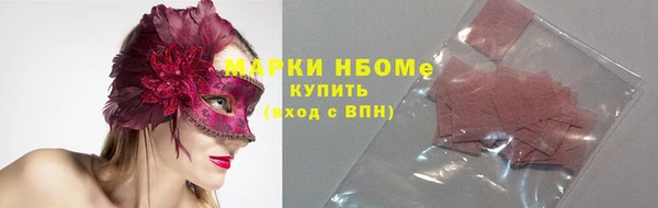 дмт Пересвет
