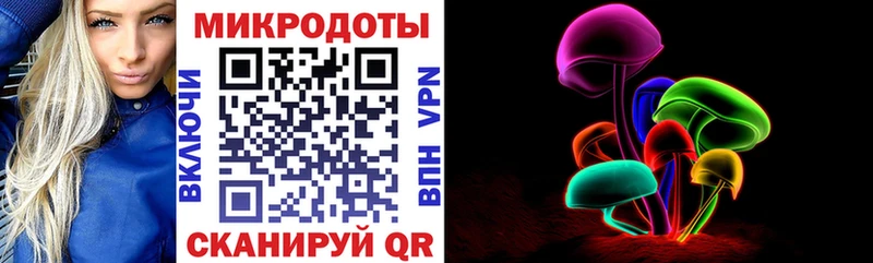 Псилоцибиновые грибы Psilocybine cubensis  Никольск 
